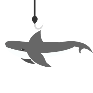 Модуль обучения 16: Уэйлинг (Whaling)